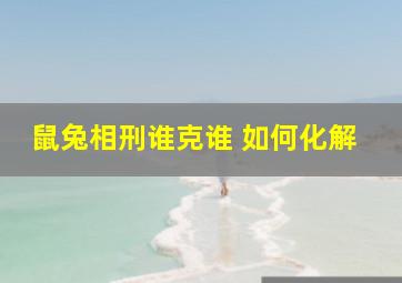 鼠兔相刑谁克谁 如何化解